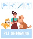 Dog groomer. Professional dog care and hygiene